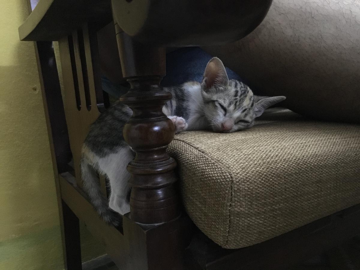 Nha Homestay ดานัง ภายนอก รูปภาพ
