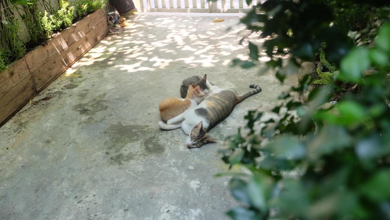 Nha Homestay ดานัง ภายนอก รูปภาพ