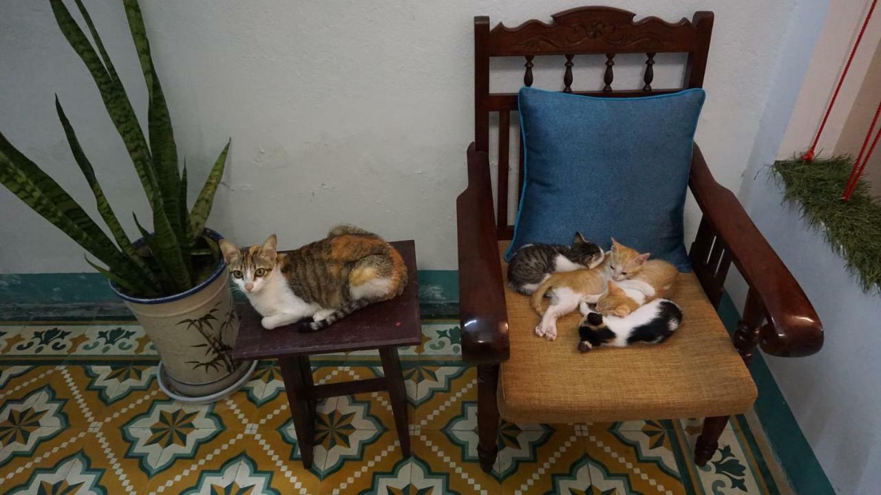 Nha Homestay ดานัง ภายนอก รูปภาพ